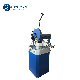 Metal Cutting Circular Sawing Machine(Circular Saw CS-315)