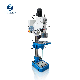  Auto Feed Floor Stand Vertical Drilling Machine (Z5032/1 Z5040/1 Z5045/1)