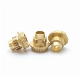  Made in China Machining Part M4 M5 M6 Cap Head with Flange Precision Turning Brass Gold Yellow Plated Screw