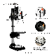 Vertical Drill Press Machine Ctz35