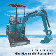  Cx10t Hydraulic Mini Excavator with 1000kg Bucket Capacity and Competitive Price