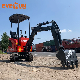  Everun New Design CE EPA 1ton farm household construction Small Crawler Excavator Ere10PRO Mini Digger for sale