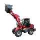 North Europe Engineering Machinery Use Compact Mini Loader with CE Approved/Hydraulic Fork/Snow Blower/Snow Tyre