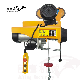 CE Approved Miniature Electric Hoist 100kg 200kg 400kg 600kg 800kg 1000kg