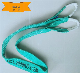 2t Polyester Flat Webbing Sling L=2m (can be customized)