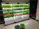 China Factory Supplier Indoor Hydroponics Vertical Vegetables Planting System manufacturer