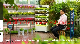 Home Hydroponic Growing Systems Home Decorative Garden Container Farm Hydroponics manufacturer