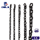 G80 Blacken Lifting Chain 10mm Anti Rust Lifting Chain for Hoist