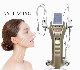  Multifunction Beauty Equipment RF Skin Tightening Face Lifting Machine Slimming and Skin Care Machine Smas 7D Machine