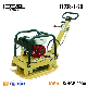 Gasoline Engine Earth Vibrator Machine Concrete Vibrator Road Vibrating Plate Compactor with Factory Supply