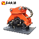  Vibrator Compactor for Frozen Ground Compactor for Excavator Hydraulic Compactor Plate