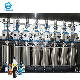 Automatic Piston High Speed Hand Washing Soap Liquid Filling Machine