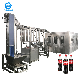Automatic Soda Carbonated Beverage Soft Drinks Filling Capping Machine Sparkling Water Filling Line manufacturer