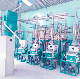 Hot Sale 20t/24h Maize Flour Mill Machine Milling Plant Running manufacturer