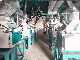  30tpd Low Price Wheat Flour Mill Plant Wheat Flour Milling Machine