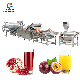 Industrial Fruit Pomegranate Juice Making Passionfruit Juicer Machine Production Extractor Line