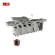 Commercial BBQ Gas Grill Machine Outdoor Kitchen Cabinet