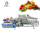  Commercial Fruits Vegetables Washing Vortex Type Potato Cabbage Washing Machine