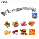 Industrial Fruit Vegetable Orange Potato Carrot Washing Drying Dicing Machine