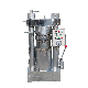 New design 6Y Series Olive Hydraulic Oil Press Machine manufacturer