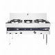 Cooking God Series D Type Commercial Stainless Steel Cooker Double Burner Gas Stove/Kitchen Equipment