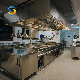  Professional Stainless Steel Industrial Catering Commercial Hotel Kitchen Equipment