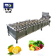  SUS 304 Stainless Steel Vegetable Carrot Sweet Potato Tomato Air Bubble Green Red Pepper Fruit Apple Washer Washing Machine