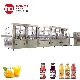 Fruit Juice Making Small Factory Productions Machine, Glass Bottle Juicer Filling Line, Sugarcane Juice Packing Machine manufacturer