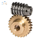 Custom Turning Parts Service CNC Machining Worm Gear for Auto Motors