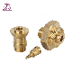 OEM Car Engine Parts Brass Parts Precision manufacturer