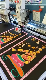 Big Embroidery Area Special Function Coiling Flat Mixed Embroidery Machine