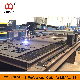 Double Driver Metal Plasma Cutter Machine with Thc and Remote