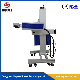 20W 30W 60W CO2 Fly Laser Marking Machine Suitable for Production Line Marking