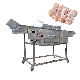  2019 Automatic Electric Shrimp Ice Covering Machine Fish Fillet Ice Coating Machine Ice Glazing Machine