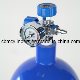 Hot Sale 40L Steel Oxygen Gas Cylinders (W. P. =15Mpa, 6m3) From China Factory