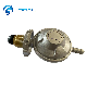  Low-Pressure LPG Propane Regulator Gas Flow Control Valve for Gas Cylinder