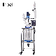 20L S212-20L Wholesale Reaction Equipment Jacketed Double Glass Chemical Reactor