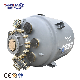 Enamel Mixing Reactor Pressure Vessel