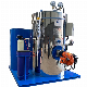 Vertical Boiler CNG Compress Natural Gas Fired Steam Boiler with Best Price