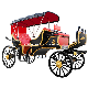 White Electric Wedding Horse Carriage / Wagonette for Sale