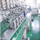 High Purity Mogroside V Extract Siraitia Grosvenorii Extraction Equipment Processing Line