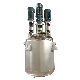  High and Low Speed Polymerization Reactor for The Production of Hot Melt Adhesives