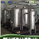 20~500m3/H Skid Mounted Biogas Desulfurization/Dehumidification Scrubber Tank System