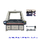  Large Format Vision Position Laser Cutting Machine