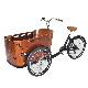 Electric 3 Wheels Goods Delivery Cabin Trike Cargo Tricycle for Home Use