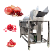 High Quality Fruit Peeling Machine / Automatic Pomegranate Seeds Separator Peeling Machine Pomegranate Peeling Machine manufacturer