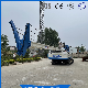  Construction Professional Hydraulic Pedrail Long Spiral Static Pile Driver