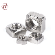 A4-70 A2-70 Stainless Steel Square 304 Square Nut