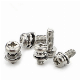 Stainless Steel Pan Head Phillips Combination Screw with Washer