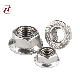 Hexagon Head with Stainless Steel DIN6923 304 Flange Nut/SS316 Flange Nut
